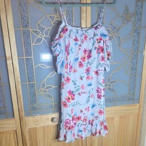 Mi Amore Floral Mini Dress in Pink and Blue